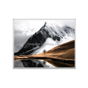 Module LCD TFT Boe DV215FHM-NN0 DV215FHM-R01 21,5 pouces FHD 1920x1080 500 cd/m² pour affichage publicitaire commercial - Product Image 3