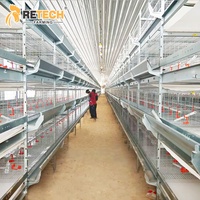 Cage de poulettes en batterie de type H pour poussins d'un jour, poulets de chair et poulets de chair en couche, avec couveuse automatique