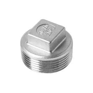 201 304/316 Stainless Steel Tube Connector Square Plug Thread Square Plug Screw Pipe Head Fittings NPT BSP