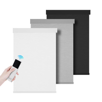 Stores enrouleurs solaires électriques WiFi Tuya Zigbee filtrant la lumière, stores motorisés intelligents Alexa pour fenêtres