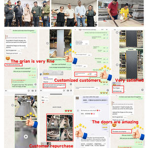 Puerta de cristal de carbono de madera maciza ecológica de diseño moderno para habitaciones interiores de Hotel Suite de dormitorio de varios pisos Pintura ecológica gratuita - Product Image 5