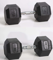 Ensemble d'haltères hexagonales robustes en fonte, poids libres multifonctionnels pour la musculation à domicile, équipement d'entraînement de force avec noyau en fonte massif