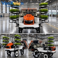 Transplanteur de riz en gros haute productivité, machine de plantation de riz multi-rangs pour l'agriculture