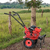 Power Cultivators 170F 7HP Multi-Function Micro Tiller Machine para la venta