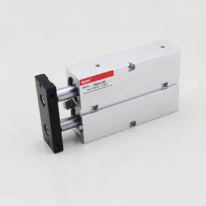 Magnetic ring dual rod double shaft pneumatic twin TDA/ TN Airtac cylinder