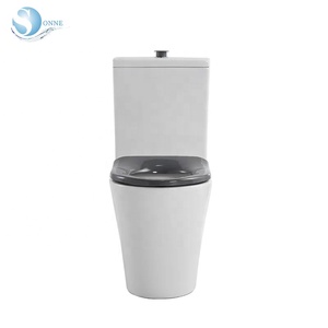 <span class=keywords><strong>WC</strong></span> <span class=keywords><strong>per</strong></span> <span class=keywords><strong>disabili</strong></span> standard australiano, toilette in due pezzi, <span class=keywords><strong>WC</strong></span> accessibile - Product Image 4