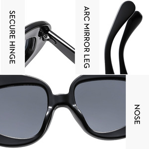 Nuevas Gafas de Sol de Diseñador para Mujer, Extra Grandes, con Lentes Acrílicas UV400, Marco de PC, Logotipo Personalizado, Bisagras Metálicas Resistentes, a la Moda, Tendencia 12 - Product Image 6