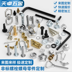 Tianzhuo <b>Hardware</b> Custom Screws Nuts Stainless Steel Zinc Plated Precision Machining Fasteners - Product Image 1