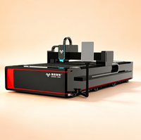 Machine de découpe laser à fibre monoplace haute précision 3000W 6000W pour métal, acier et dispositifs de contrôle électronique