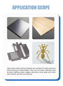 Machine de découpe laser à fibre pour tôle d'acier inoxydable 300x300mm équipement de tête laser Raytools - Product Image 6