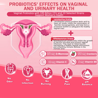 Films buccaux probiotiques naturels de haute qualité pour le bien-être féminin, pour soutenir la santé intestinale, complément alimentaire quotidien naturel
