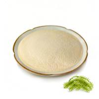 Extracto de Factor de Crecimiento de Chlorella (CGF) en Polvo, Suplemento Superalimento de Algas Verdes CGF