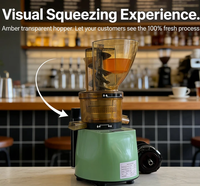 Hoge Opbrengst 80% Slow Juicer Commerciële 500W Voedselveilige Citroen- en Sinaasappelpers
