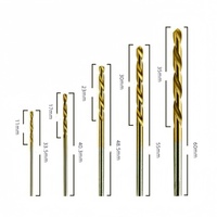 Jeu de forets hélicoïdaux HSS, 50 pièces, 1,3 mm, revêtement titane, tige droite, pour percer le métal, le bois, le plastique, l'acier inoxydable
