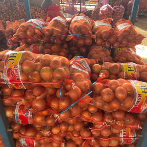 Oignons jaunes et rouges mûrs naturels, de haute qualité, origine Chine, approvisionnement en vrac de légumes - Product Image 5