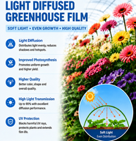 Film plastique agricole pour serre, diffusion des rayons UV, fraise, myrtille, framboise, mûre, PE EVA anti-UV, 150 microns, 5 couches