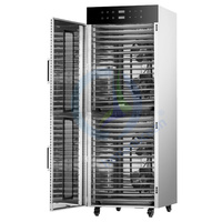 Machine de séchage des légumes et des fruits, four de déshydratation avec contrôle PLC, déshydrateur de poisson à plateaux