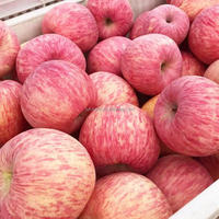 Nieuwe Oogst Fuji Rode Appel Fabriek Prijs Vers Fruit Te Koop