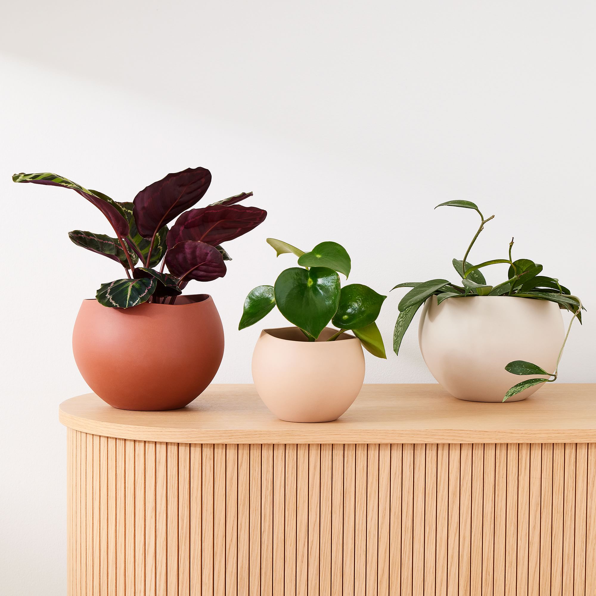 blumenkasten risse Blumenkasten " Das Original von Dekorie " aus Holz mit Holz Griffen 30   Dekorie GmbH