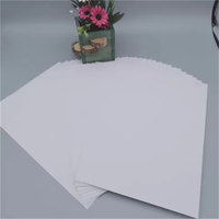 White Paperboard One Side Coated C1s Fbb 230GSM for Folding Boxes