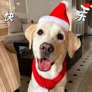Decoraciones Navideñas de Dibujos Animados, Estilo Moderno y Minimalista, Gorros de Santa Claus para Mascotas, Gatos y Perros, Juego de Gorros Pequeños de Felpa Roja - Product Image 1