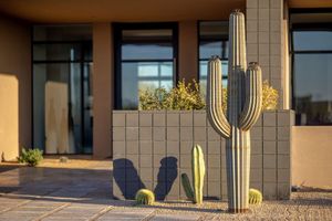 Escultura de Cactus de acero inoxidable para decoración del hogar, estatua personalizada de Arte Moderno de Metal para paisaje al aire libre, tamaño medio - Product Image 5