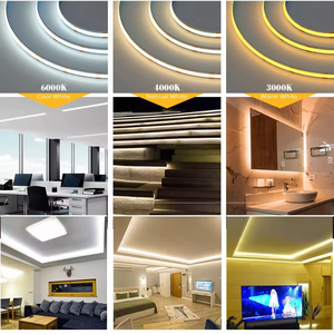 Tira de Luces LED Decorativas para Exteriores de 12V/24V, Alta Luminosidad, Sin Áreas Oscuras, para Paisajismo - Product Image 5