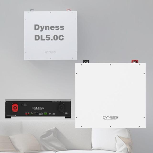 LFP Battery Dyness DL5.0C 1C Lithium Ion Battery 51.2v 100ah 5.12Kwh Home Solar System for Home Use IP20