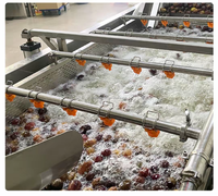Hoge Efficiëntie Energiebesparende Mango Bubbel Wasmachine Bubble Wasmachine Reinigingsmachine Voor Groothandel