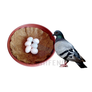 Pigeon nidificazione ciotole uova di uccello cestino portaoggetti pollame incubazione letto colomba Courtship allevamento casa per piccione - Product Image 2