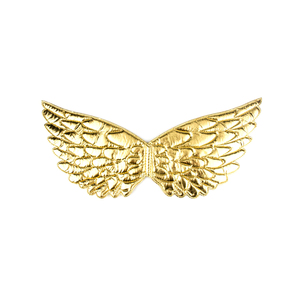 Fournitures de fête personnalisées pour enfants, accessoires de Costume de fête d'anniversaire pour garçons, ailes de dinosaure, ailes de chauve-souris - Product Image 1