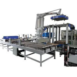 High-Technology Robot Arm Automatic Palletizer Machine Widely Used in Metal Packaging