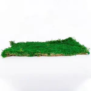 Bewaard platte moss maken ontwerp moss muur bewaard moss oem