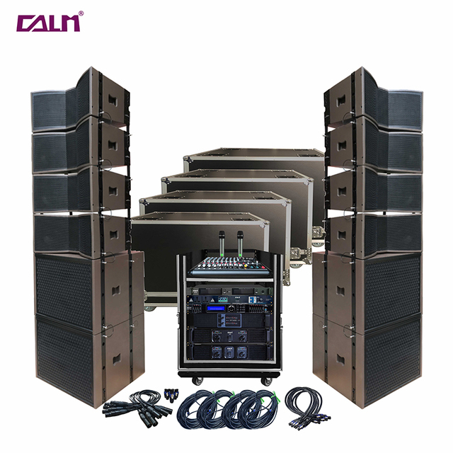 TOP   Calm Pro Audio 12 Inch Dual Passive Line Array Speaker Sets Waterproof 700W Audio Sound System