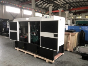 Generador diésel de <span class=keywords><strong>50KW</strong></span> para uso residencial, 120V/240V, PF0.8, color negro, gran oferta Canadá - Product Image 6