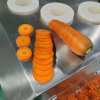 Dq Guangzhou Daqiao Industriële Commerciële Vers Fruit Snijden Verwerking Productielijn Wortel Snijden Machine Motor Kern