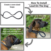 Laisse pour chien en nylon personnalisée OEM, laisse de promenade durable pour animaux de compagnie, logo personnalisé, accessoires pour animaux de compagnie, commande en gros