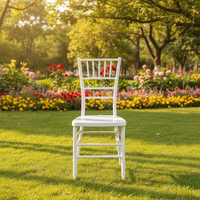 Chaises Chiavari empilables en plastique pour la vente en gros – Idéales pour la restauration, les écoles, les hôpitaux, les événements extérieurs, les mariages et la location de mobilier portable