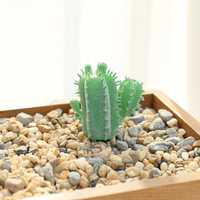 Mini plante artificielle en plastique, cactus à fleurs succulentes, 10 cm, pour décoration intérieure, accessoires de photographie de mariage, livraison directe