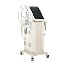 Appareil de massage vertical à rouleaux pour le corps, amincissant, en plastique et acier inoxydable, usage commercial, moteur importé pour le raffermissement de la peau et du visage