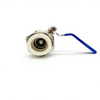 Vanne à boisseau sphérique manuelle Xingfu 20/25/32mm en laiton robuste pour PPR, à union simple/double, avec levier bleu, étanche, joint EPDM, OEM, haute performance