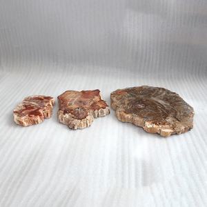 <span class=keywords><strong>Cristalli</strong></span> Curativi in Legno Fossile Naturale, <span class=keywords><strong>Pietre</strong></span> <span class=keywords><strong>Curative</strong></span>, Quarzo in Legno Fossile - Product Image 3