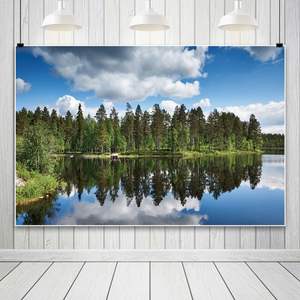 12x8ft พื้นหลังทะเลสาบป่าสะท้อนภาพท้องฟ้าสีฟ้าเมฆขาวเมฆกลางแจ้งป่าป่าป่าทะเลสาบพื้นหลังที่มีคุณภาพสูง - Product Image 2