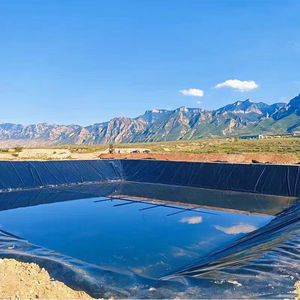 Nhà Máy Giá 0.5Mm 0.75Mm 1.2Mm 1.5Mm Nuôi Trồng Thủy Sản Cá Ao Lót Làm Polyethylene HDPE Màng Đất Tấm - Product Image 4