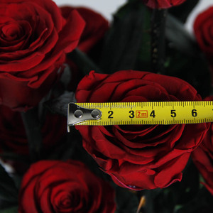 Rose éternelle en gros d'usine, fleur préservée <span class=keywords><strong>Secret</strong></span> Garden, décoration de mariage, coffret cadeau de luxe, essentiel pour les mariages - Product Image 3