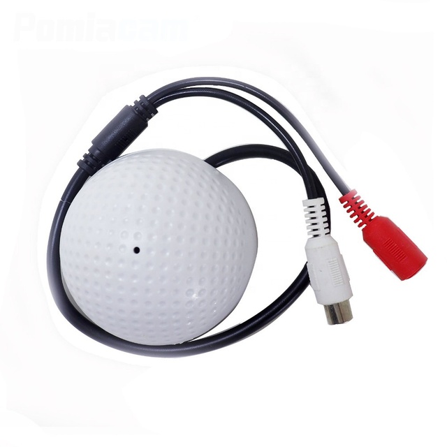 Best Price for the Mini Hidden Camera CCTV Microphone for Surveillance DVR System