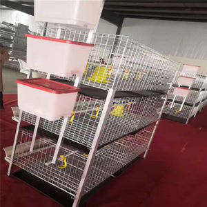 Nuova Gabbia per Polli da Carne Tipo H 2026, <span class=keywords><strong>3</strong></span> Livelli, 2 Porte, con Struttura per 72 Polli - Product Image 5