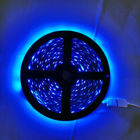 Bande lumineuse à LED 24V Bandes lumineuses à LED pour maison intelligente-Commande vocale avec Alexa et Google Assistant