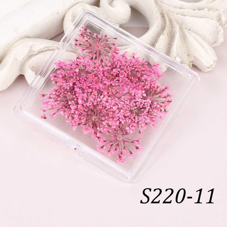 S220-11