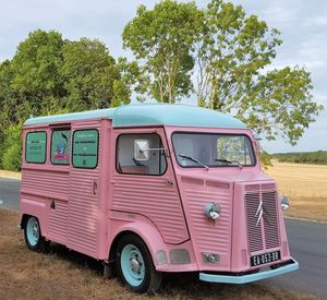 กําหนดเอง Citroen H สไตล์ใหม่รถบรรทุกสีชมพูมือถือมังสวิรัติอาหารจานด่วนรถพ่วงจัดเลี้ยง<span class=keywords><strong>รถ</strong></span>บัสสําหรับของว่างบนถนน